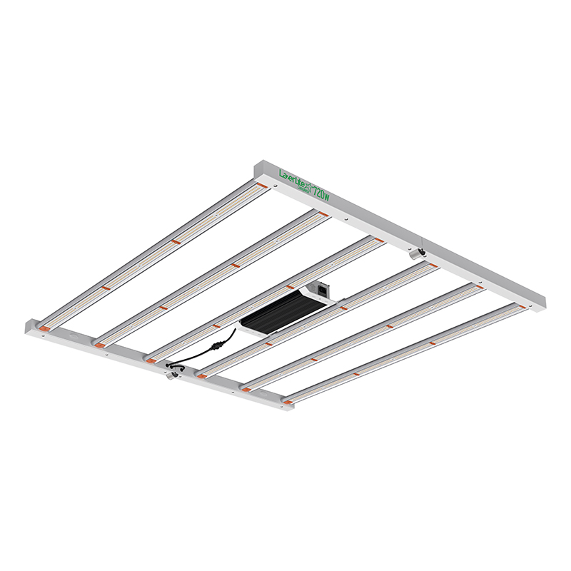 Led Pure Lazerlite Electronic 720 w controlable
